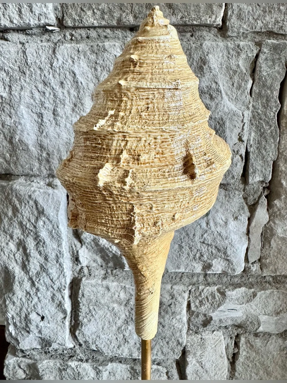 New Resin Conch Shell Seashell Beach Nautical Cottage Style Decor Figure - 16”